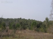 Development site Aubais