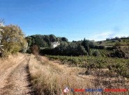 Development site Castelnau De Guers
