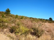 Development site Durban Corbieres