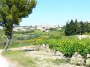 Development site Estezargues