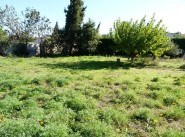 Development site Flaux