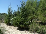 Development site Fournes