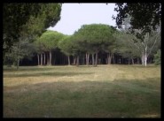 Development site La Grande Motte