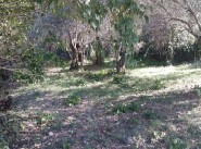 Development site Laroque Des Alberes