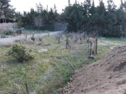Development site Lespignan