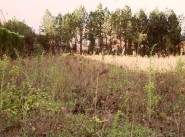 Development site Maraussan