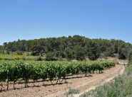 Development site Quarante