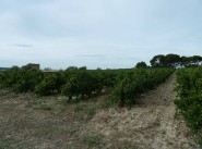 Development site Saint Genies De Fontedit