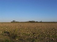 Development site Saint Nazaire