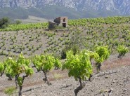 Development site Saint Paul De Fenouillet