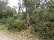 Development site Torderes