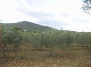 Development site Viols Le Fort