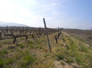 Purchase sale Banyuls Dels Aspres