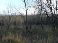 Purchase sale development site Corneilla La Riviere