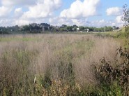 Purchase sale development site Gallargues Le Montueux