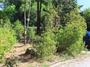 Purchase sale development site Gigean