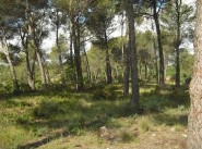 Purchase sale development site Jacou