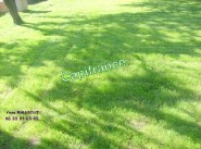 Purchase sale development site Montpezat