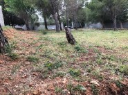 Purchase sale development site Narbonne