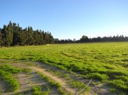 Purchase sale development site Saint Cyprien