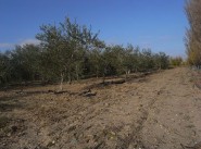 Purchase sale development site Saint Hippolyte