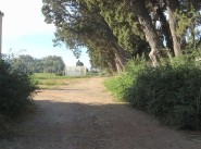 Purchase sale development site Villelongue De La Salanque