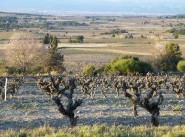 Purchase sale farmhouse / country house Azille