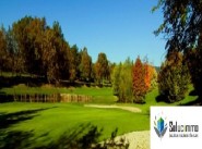 Purchase sale five-room apartment and more Montagnac