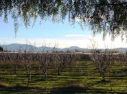 Purchase sale house Ponteilla