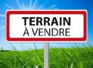 Purchase sale Montner