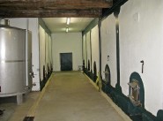 Real estate Saint Chinian
