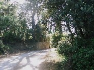 Real estate Trebes