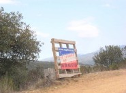 Real estate Vives